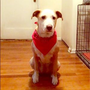 Meet your Posher, Adrian